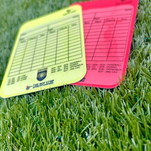 WILTSHIRE FA - WRITE-ON CARD STICKERS