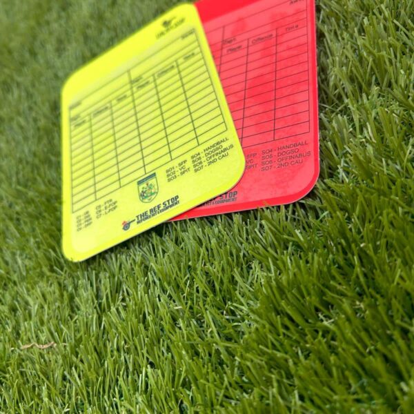 NOTTINGHAMSHIRE FA - WRITE-ON CARD STICKERS