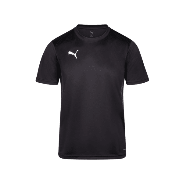 Puma TeamGOAL T-shirt