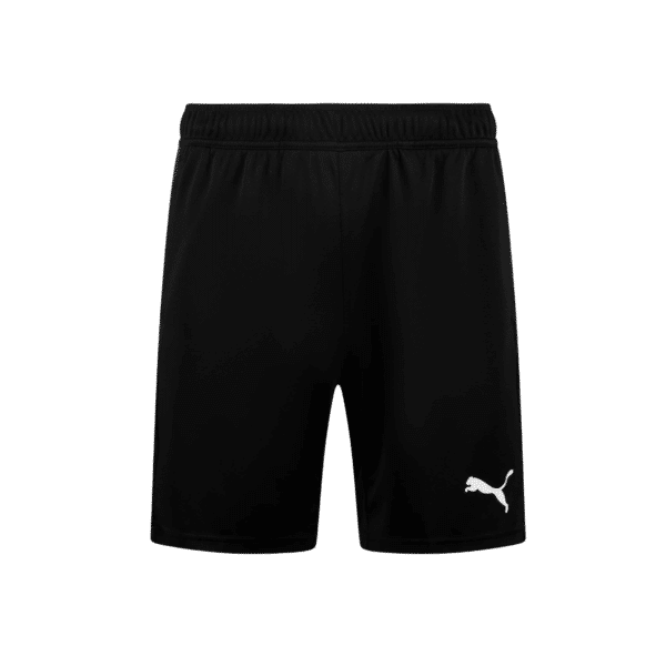 Puma TeamGOAL Training Shorts