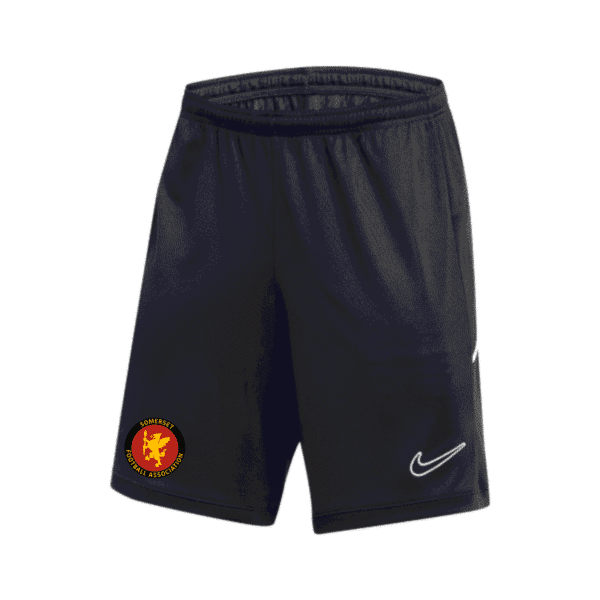 Somerset County FA - NIKE ACADEMY 25 SHORTS – BLACK/WHITE